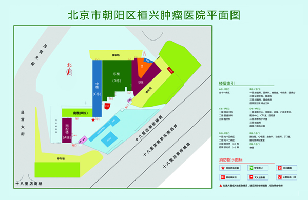 大肉棒插入小穴懂色在线观看北京市朝阳区桓兴肿瘤医院平面图